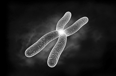 供卵代怀生男宝代生包成功