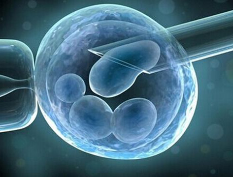 供卵代怀生男宝代生包成功